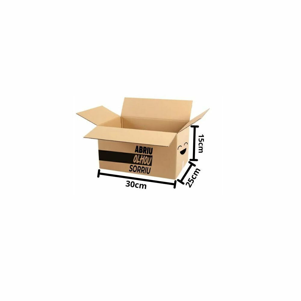 CAIXA DE PAPELAO KRAFT E-COMMERCE 300X250X150 - G - PC C/10