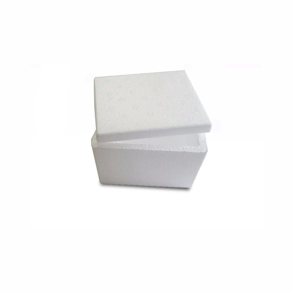CAIXA DE ISOPOR P/ SORVETE 500G - FD C/50