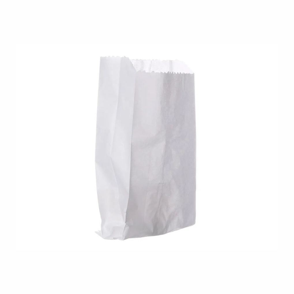 SACO PAPEL 1/2 KG MONOLUCIDO. - CX C/500