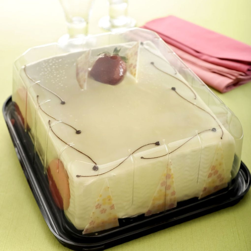 EMBALAGEM PET TORTA RETANGULAR MINI PRETA G-45CT – DIMENSÕES 264MM × 224MM × 91MM – CAIXA C/ 50 UNIDADES