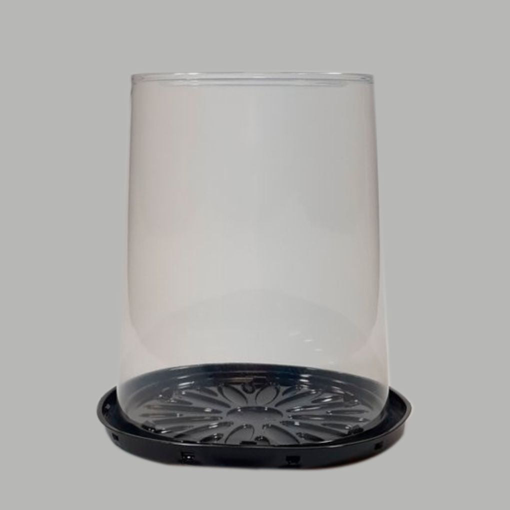 EMBALAGEM PET TORTA ALTA PT - G 55CT - CX C/25