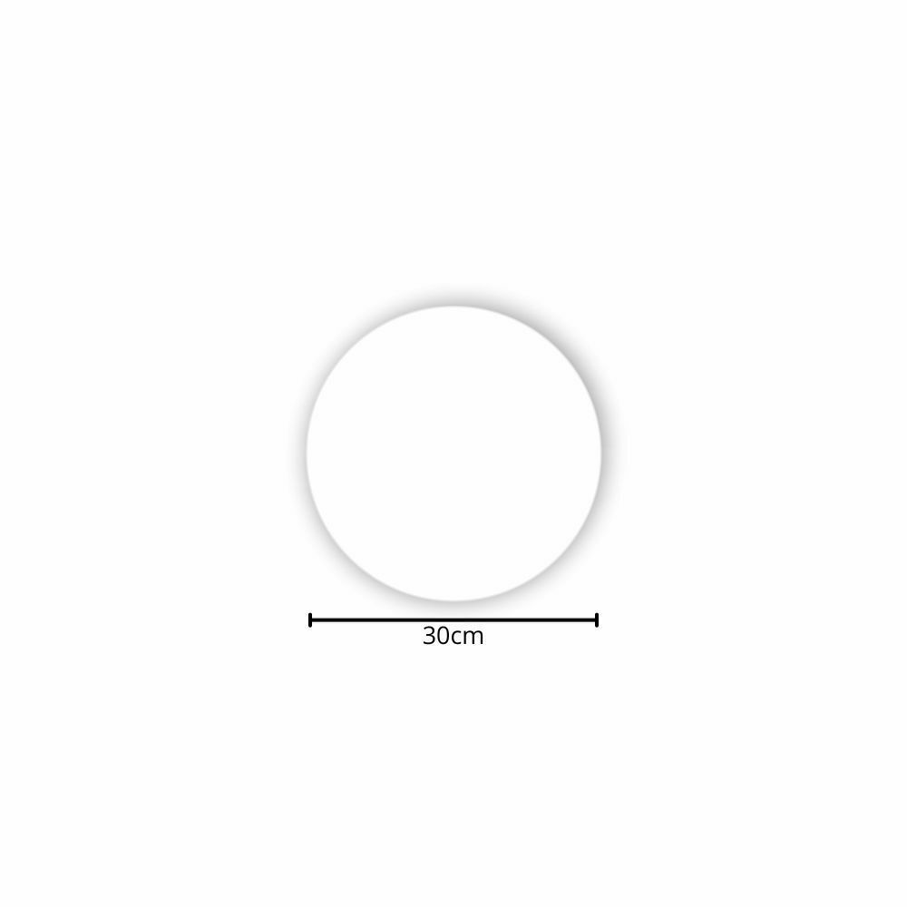 DISCO ISOPOR BRANCO 30CM. - FD C/2X200