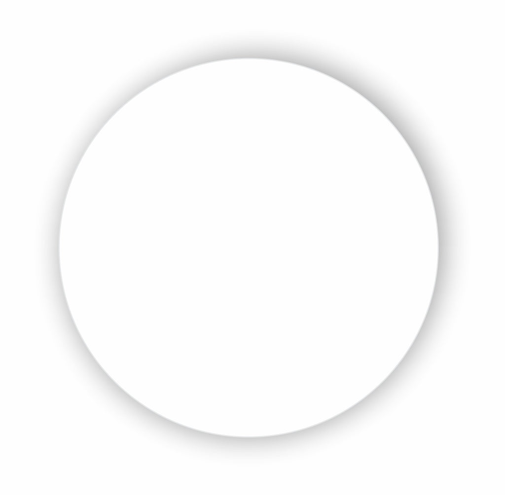 DISCO ISOPOR BRANCO 20CM - TDI-20 - FD C/2X200