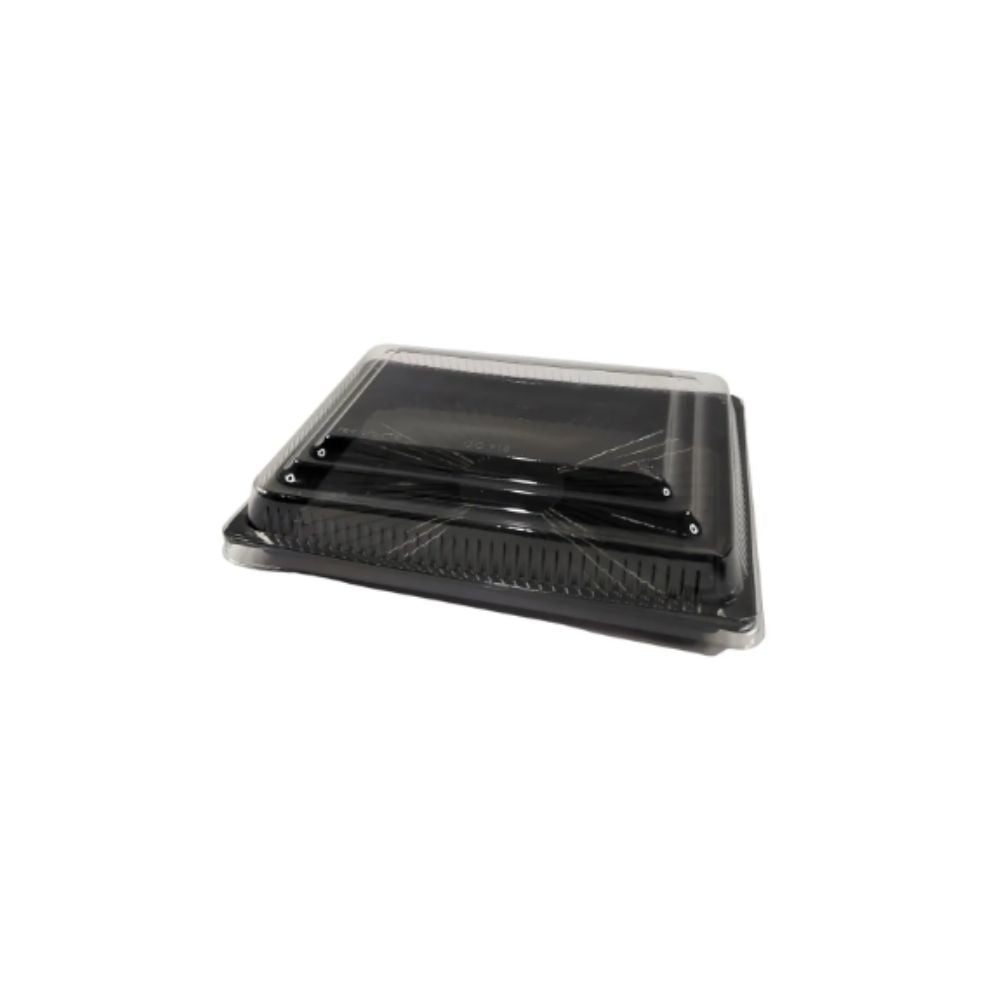 EMBALAGEM PET TEMAKI ORIENTAL PT- GO 908 - CX C/100