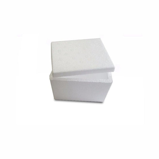 CAIXA DE ISOPOR P/ SORVETE 500G - FD C/50