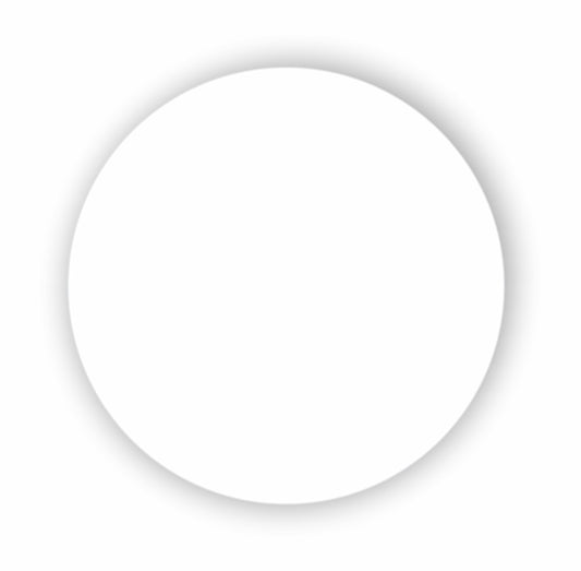 DISCO ISOPOR BRANCO 15CM. - FD C/2X200