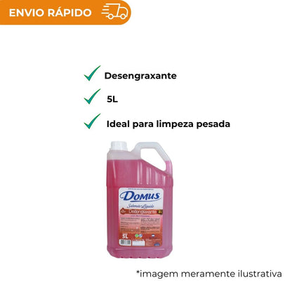 SABONETE LIQ DOMUS DESENGRAXANTE 5L - UN