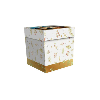 CAIXA MINI PANETONE C/VISOR ESPERANÇA - UN