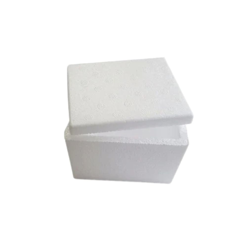 CAIXA DE ISOPOR 500G - FD C50