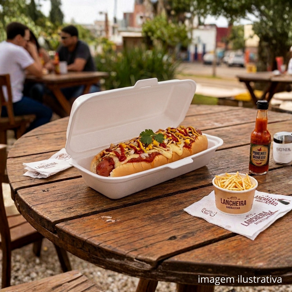 HAMBURGUEIRA 04 HOT DOG - TH-004 - FD C/4X100